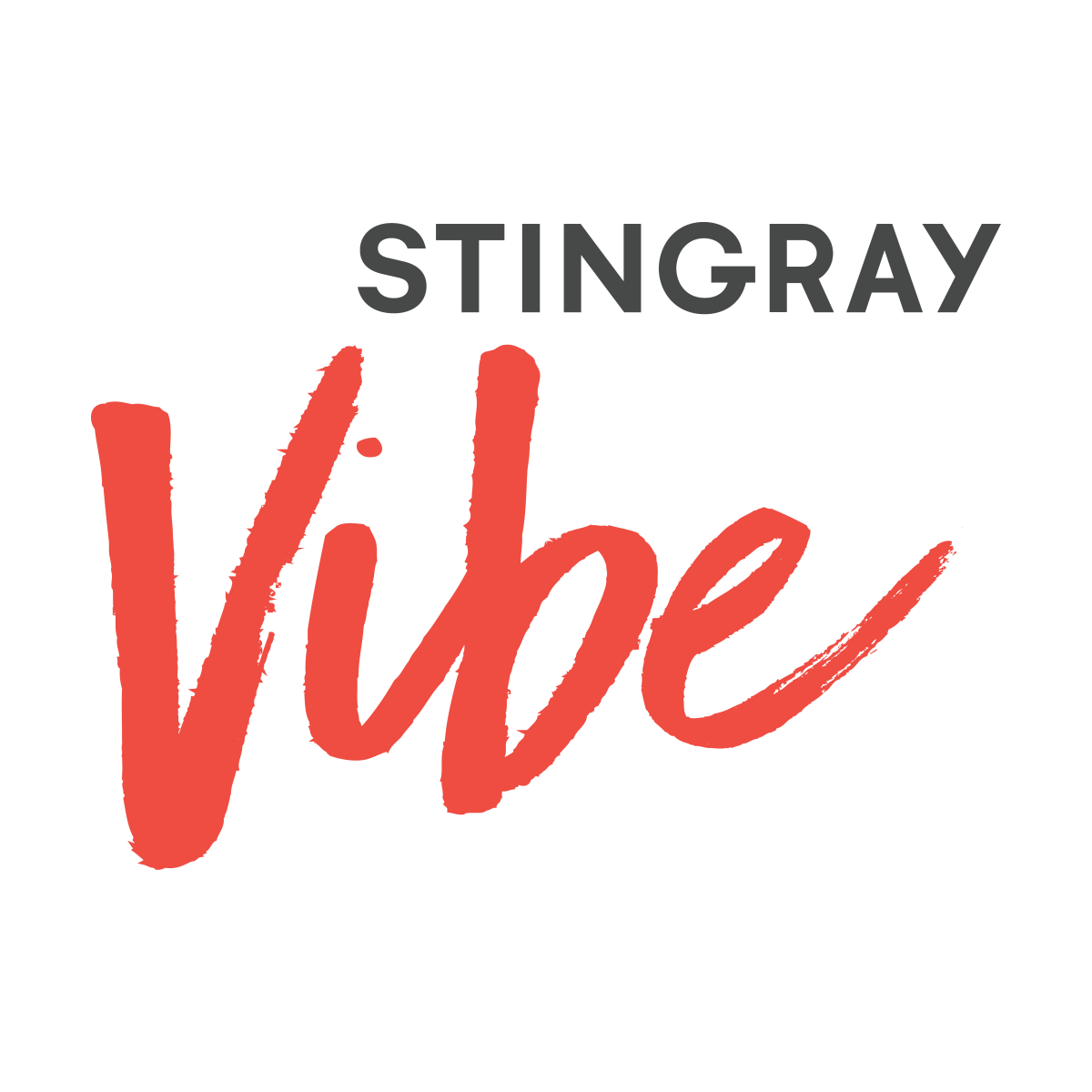 Stingray Vibe
